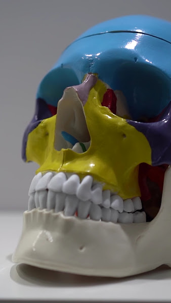 Foto 3 de Dra. Alessandra Dariva