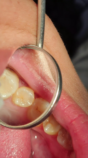 Foto 3 de Dra Alessandra Melo | DENTISTA 24H | EMERGÊNCIA