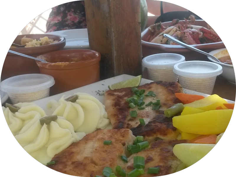 Foto 2 de Dra. Alessandra Reis - Odontologia Especializada