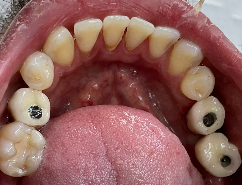 Foto 3 de Dra Alessandra Telles - Odontologia Integrada