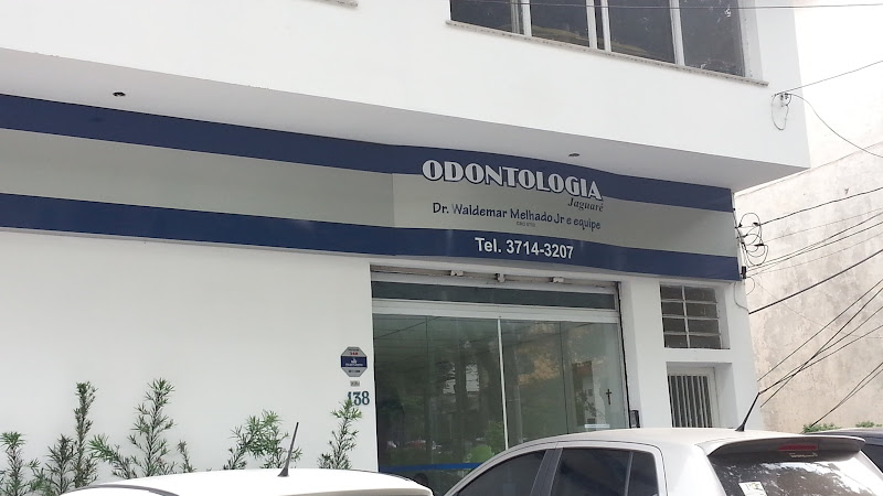 Foto 2 de Dra Alice Bressame Lopes