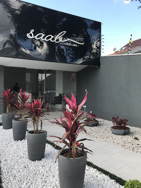 Foto 2 de DRA. ALICE V. MIOTTO