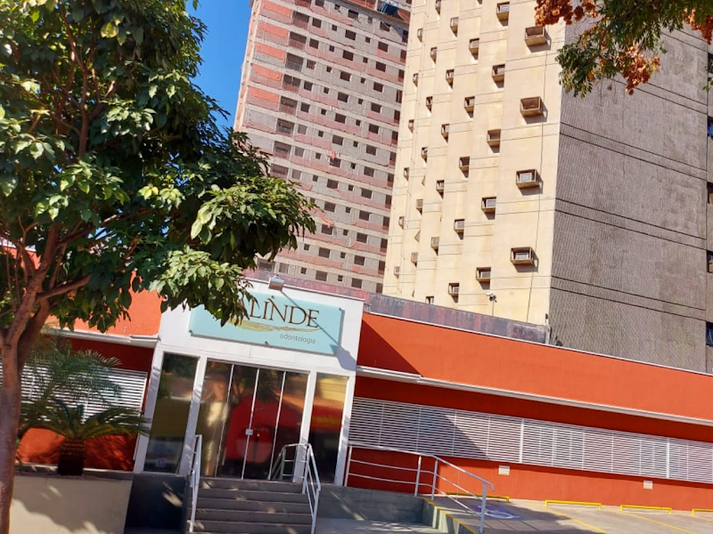 Foto 3 de Dra Alicia Dudorenko