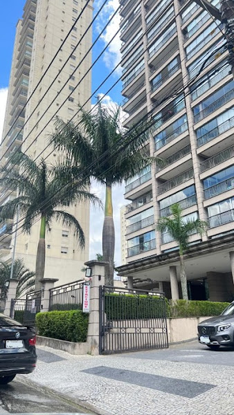 Foto 3 de Dra. Aline Braga