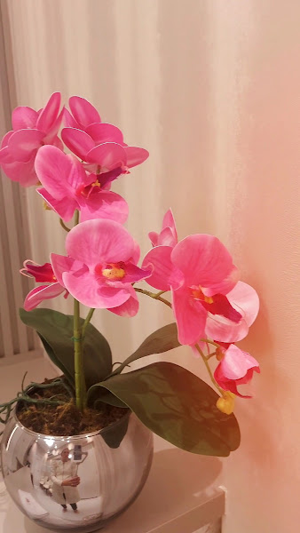 Foto 3 de Dra Aline Camargo - Endodontia Microscópica