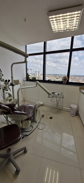 Foto 3 de Dra Aline Cristine Gomes Matta - Endodontia Microscópica