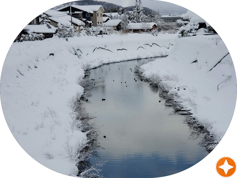 Foto 4 de Dra. Aline Garcia | Odontologia e Harmonização Orofacial