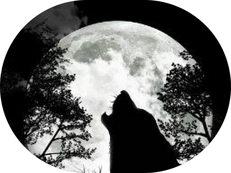 Foto 4 de Dra. Aline Godoi