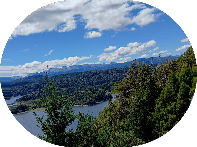 Foto 4 de Dra Aline Melo