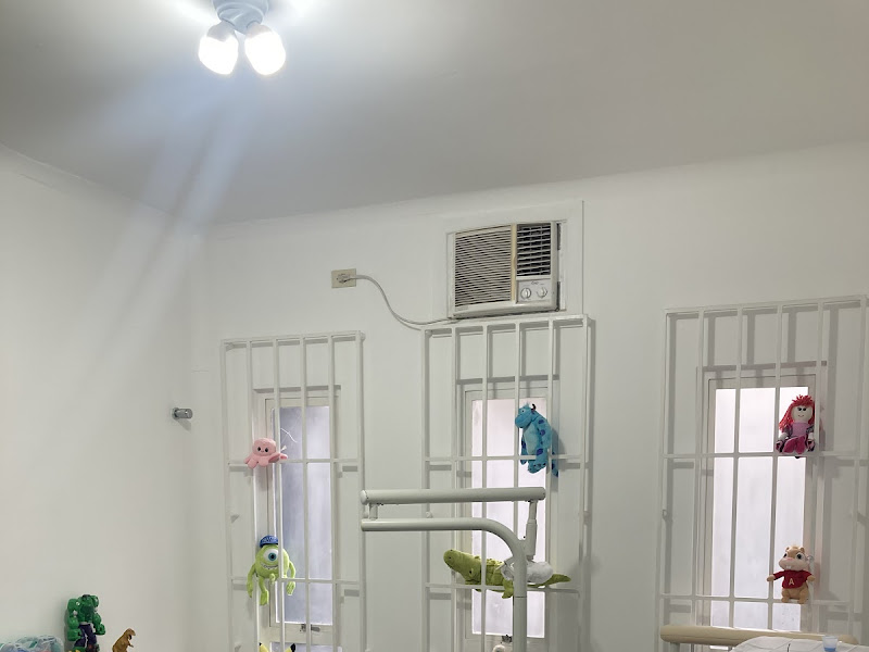 Foto de Dra. Alyne Removiscz - Odontologia