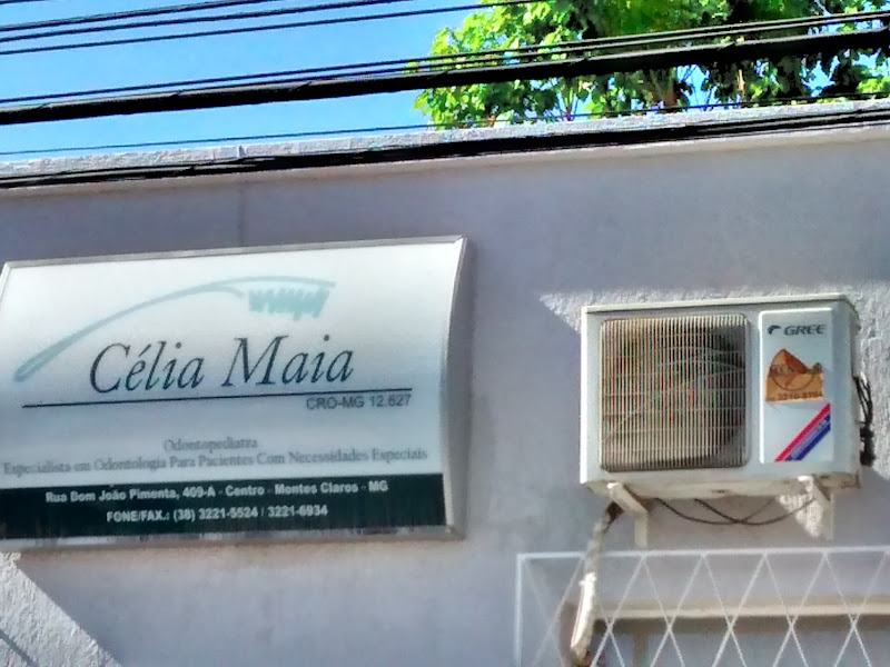 Foto 2 de Dra Ana Flávia Biondi Dentista Infantil