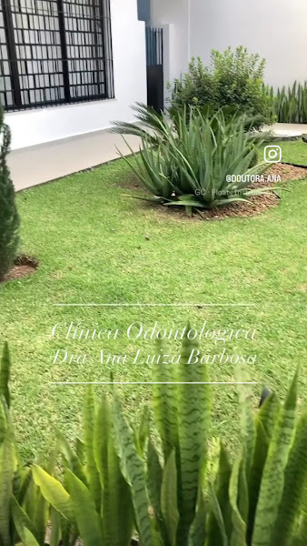 Foto 3 de Dra Ana Luiza Barbosa - Estética Dental e Harmonização Facial