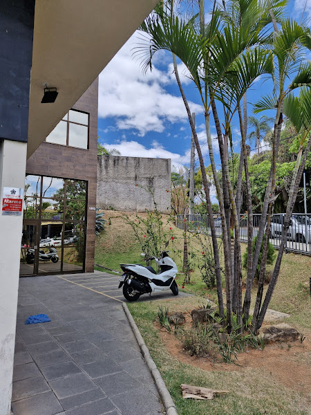 Foto 3 de Dra. Ana Luiza Ferraz