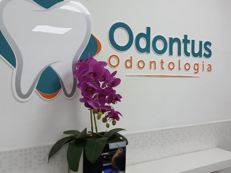 Foto 9 de Dra Ana Rua Odontologia