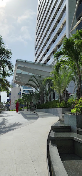 Foto 3 de Dra. Ana Virginia Pinheiro