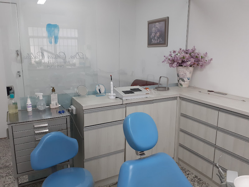 Foto 3 de Dra Ângela Maria de F Lopes e Dra Natália Rossi