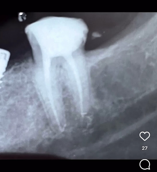 Foto 3 de Dra Angélica Almeida Barbosa