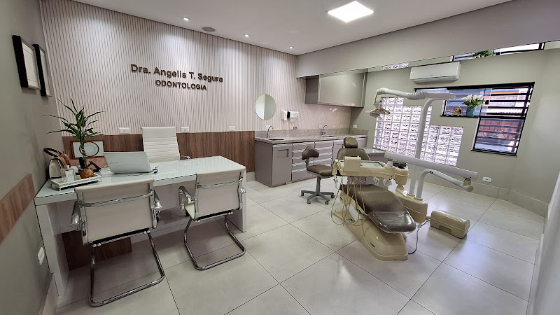 Foto 3 de Dra Angelis Tereza Segura