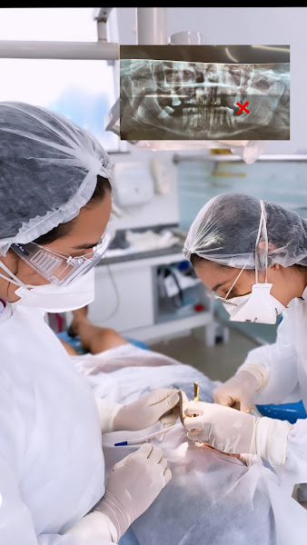 Foto 2 de Dra Anna Katharina - Dentista Extração - Siso - 24Horas