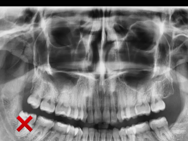 Foto 8 de Dra Ariana Soares Odontologia