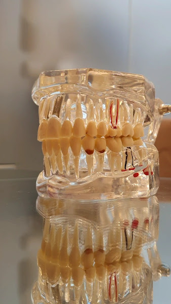 Foto 2 de Dra. Ariane Mourão