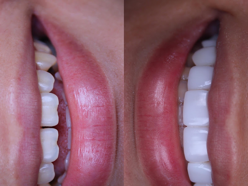 Foto de Dra. Bárbara Guerra