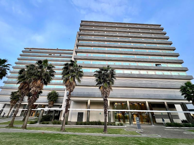 Foto 5 de Dra. Bárbara Lima | Cirurgiã Dentista em Gravataí