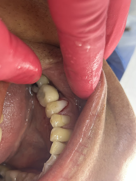 Foto 3 de Dra. Beatriz Ferraz Odontologia Integrada