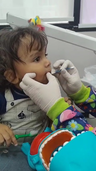 Foto 3 de Dra Brinquedos Odontopediatria