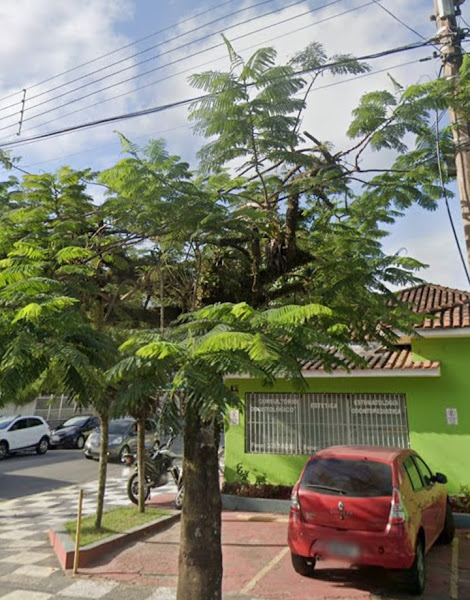 Foto 3 de Dra.Bruna Cavinato Guerra