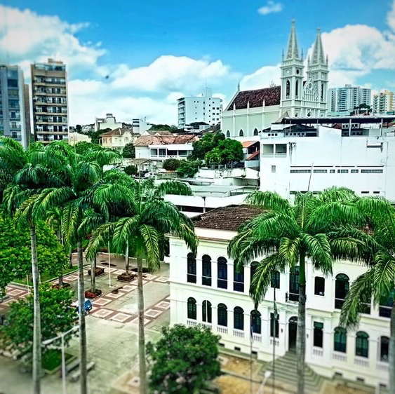 Foto 3 de Dra Brunella Linhares Odontologia