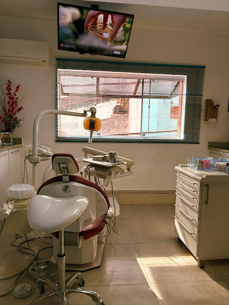 Foto 2 de Dra. Camila Braga Navarro