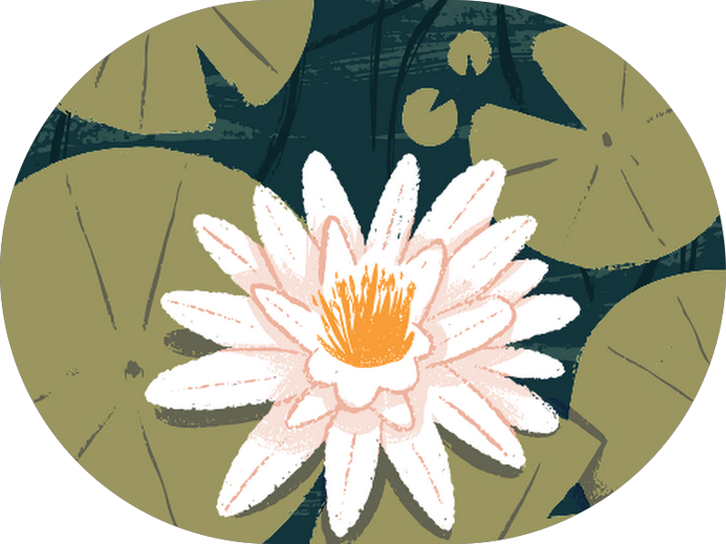 Foto 7 de Dra. Camila Matos Reabilitação Oral & Estética