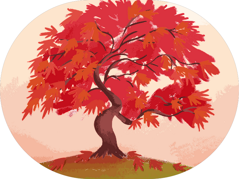 Foto 3 de Dra Camila Ninck - Cirurgiã Dentista