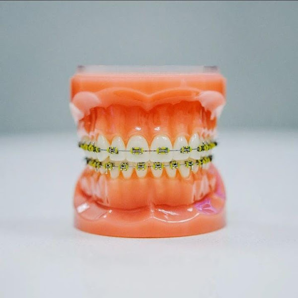 Foto 3 de Dra. Camila Noronha