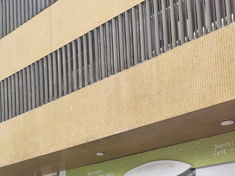 Foto 9 de Dra. Camila Nunes - Safedent | Odontologia especializada em implantes e próteses dentárias