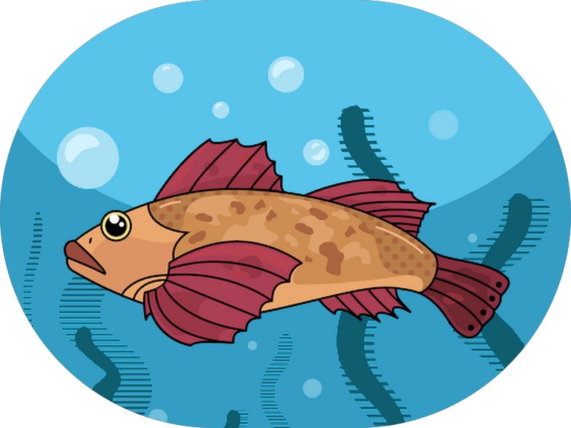 Foto de Dra. Camila Silvério