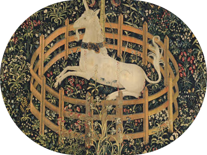 Foto 5 de Dra Carlla Lyra