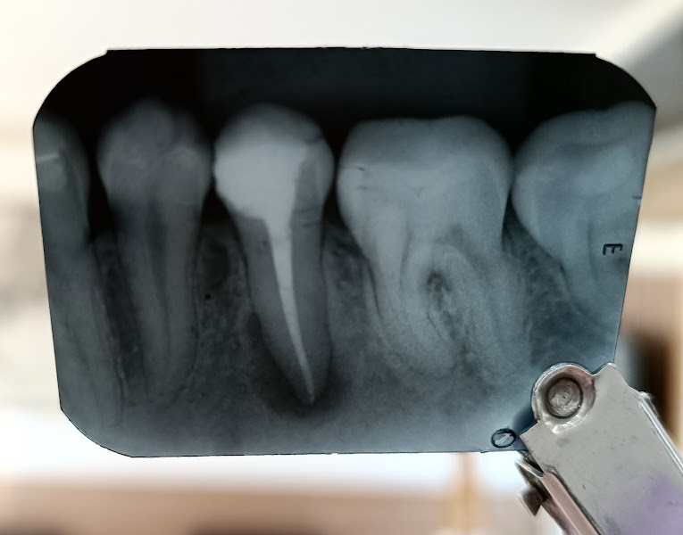 Foto 2 de Dra. Carolina Câmara - Endodontista e clínico geral