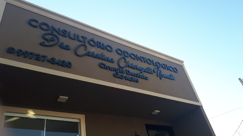 Foto 2 de Dra Carolina Chieregatto Nonato