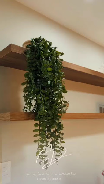 Foto 3 de Dra. Carolina Duarte Dentista