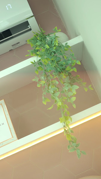 Foto 3 de Dra. Carolina Popp | Odontologia Especializada | Ortodontista na Mooca | Invisalign