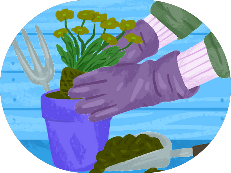 Foto 5 de Dra Caroline Guedes - Dentista Tatuapé | Ortodontia | Facetas Dentais | Endodontia