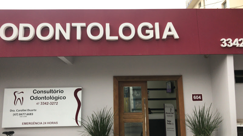 Foto 3 de Dra. Carolini Duarte