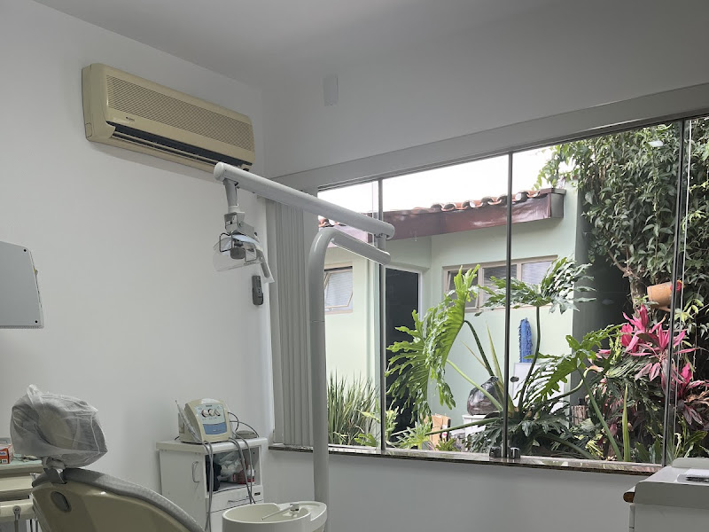 Foto de Dra Celina Almendra | Dentista especialista em Canal e Ortodontia