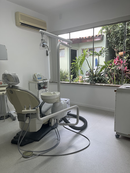 Foto 2 de Dra Celina Almendra | Dentista especialista em Canal e Ortodontia