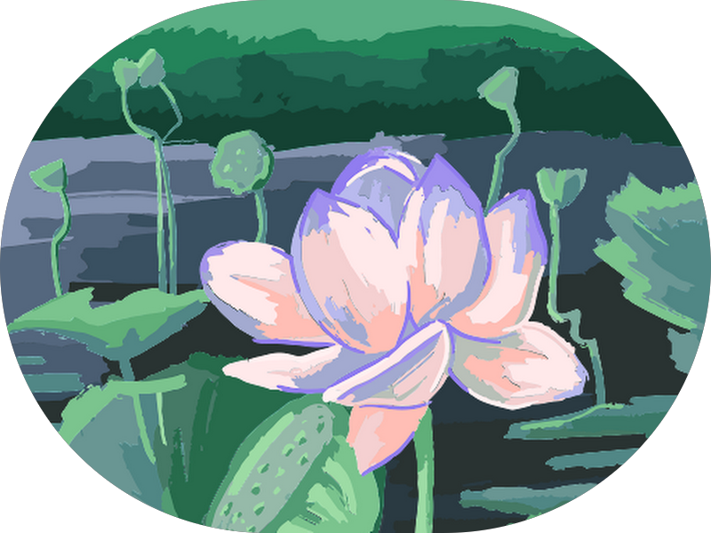 Foto 4 de Dra. Cibele Batista | Lentes de Contato Dental e Facetas em Resina em Campina Grande