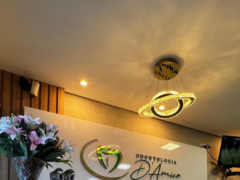 Foto 3 de Dra. Cinthia de Alcântara - Dentista