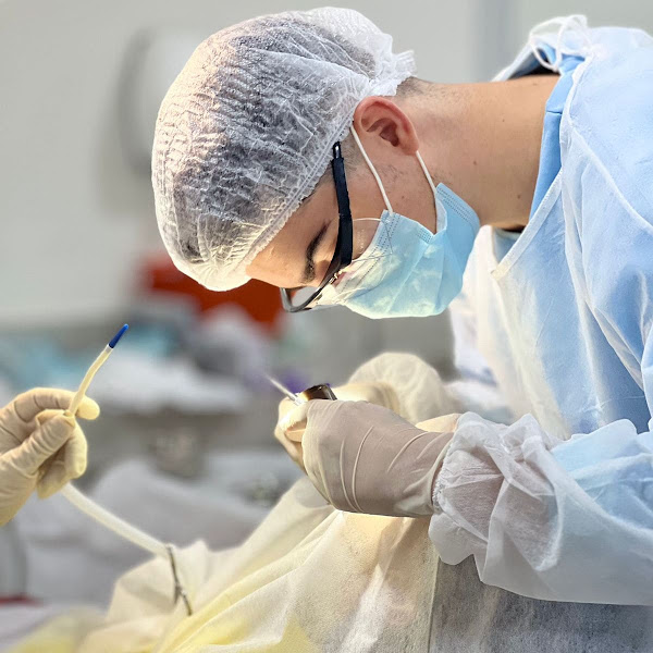 Foto 2 de Dra Cíntia Damm da Silva