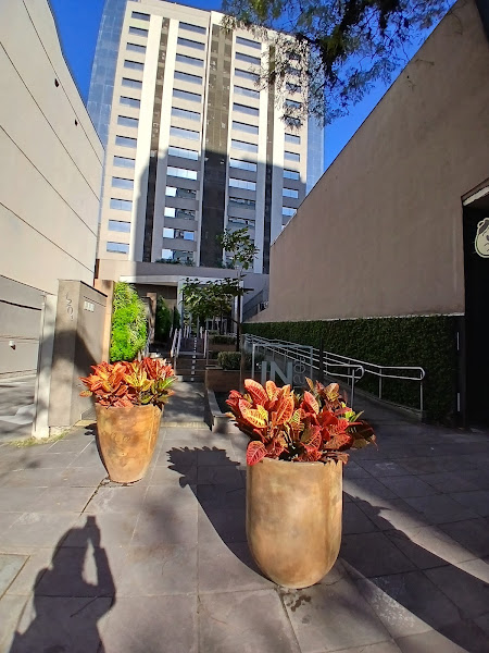 Foto 3 de Dra Cláudia Alabarce Araújo